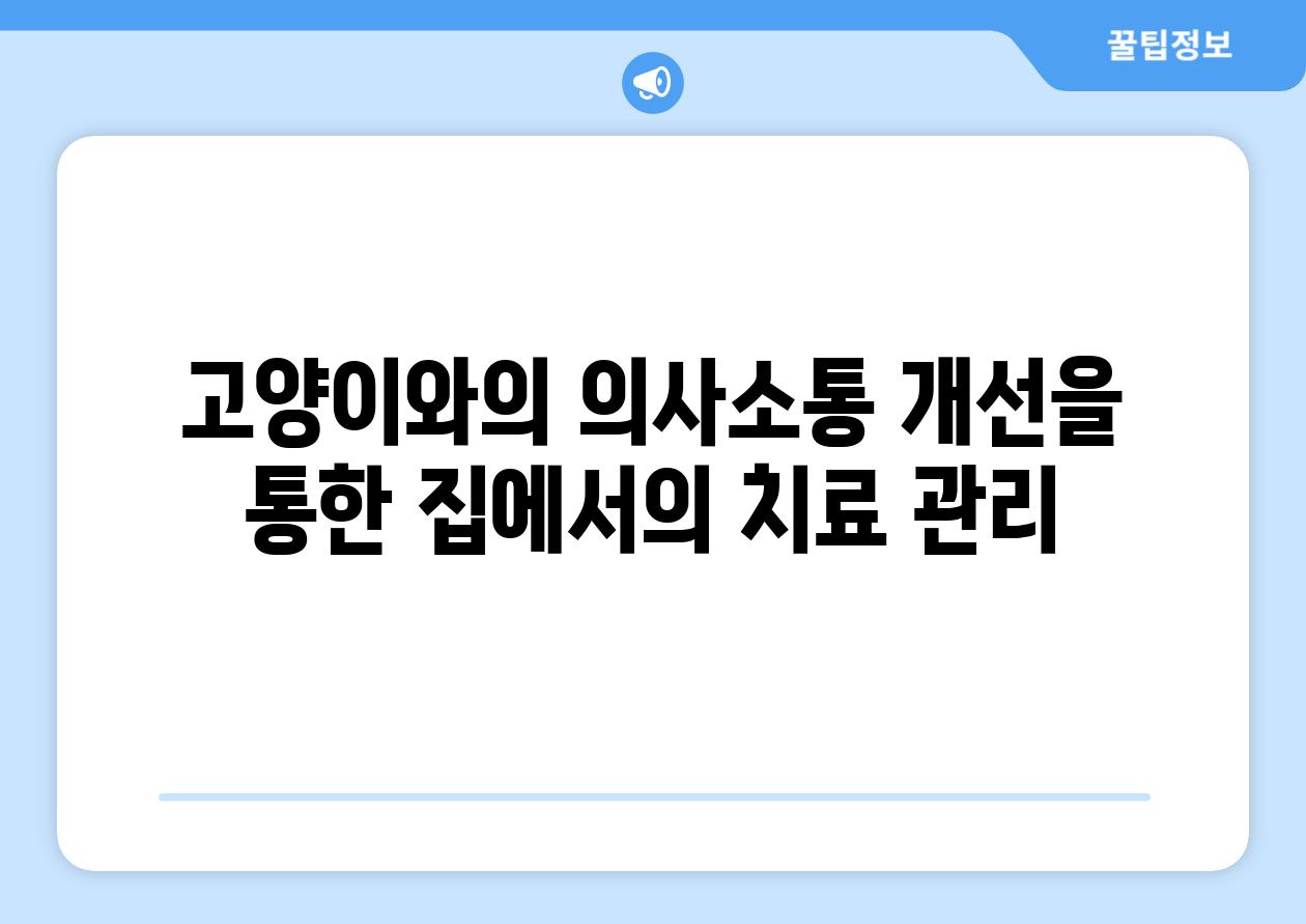 고양이와의 의사소통 개선을 통한 집에서의 치료 관리