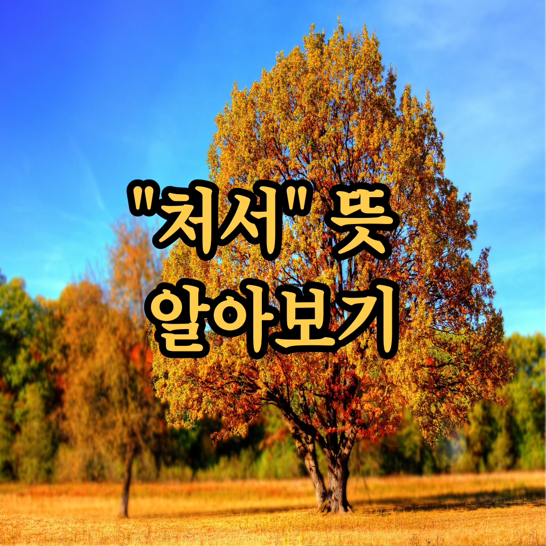  2022년 처서의 뜻 알아보기