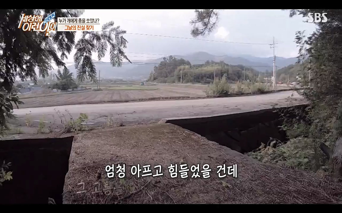 순간포착 세상에 이런일이.E1187.220706p-NEXT.mp4_20220706_202634.690.jpg