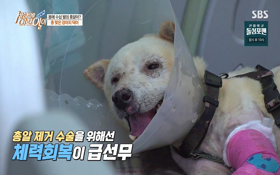 순간포착 세상에 이런일이.E1187.220706p-NEXT.mp4_20220706_202632.631.jpg