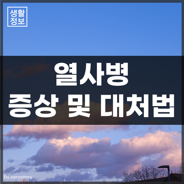  더운 여름철 열사병 원인과 증상, 대처방법
