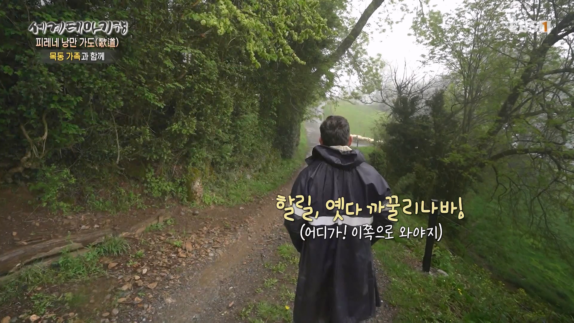 세계테마기행 231225 피레네 낭만 가도(歌道) -요정의 길을 따라, 비뉴말 트레킹0p.mp4_20240628_205007.945.jpg