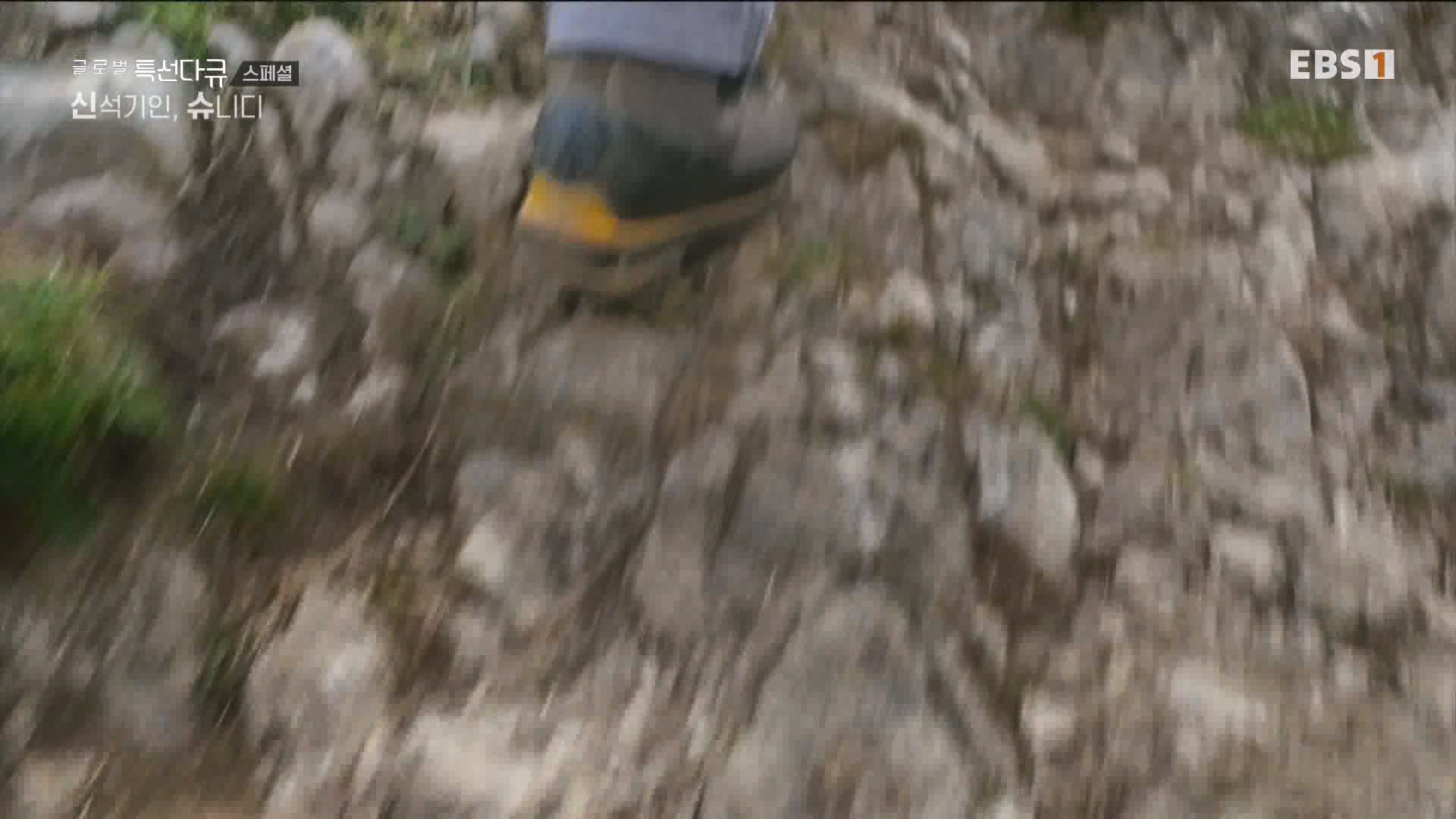 [다큐 스페셜] 신석기인, 슈니디.mp4_20230820_110530.342.jpg