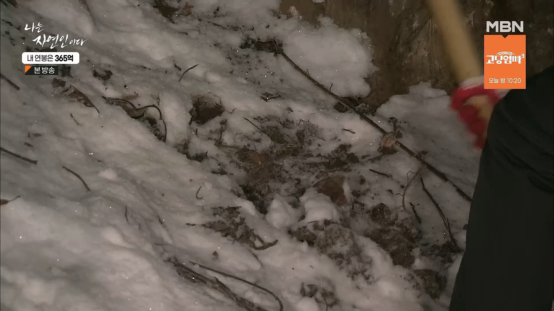 나는 자연인이다.E537.230118p.H264-F1RST.mp4_20230119_204851.721.jpg