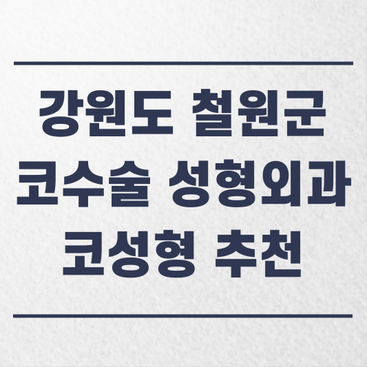 강원도 철원군 코수술 성형외과 추천 코성형 잘하는 곳 가격 비용 금액 후기.png