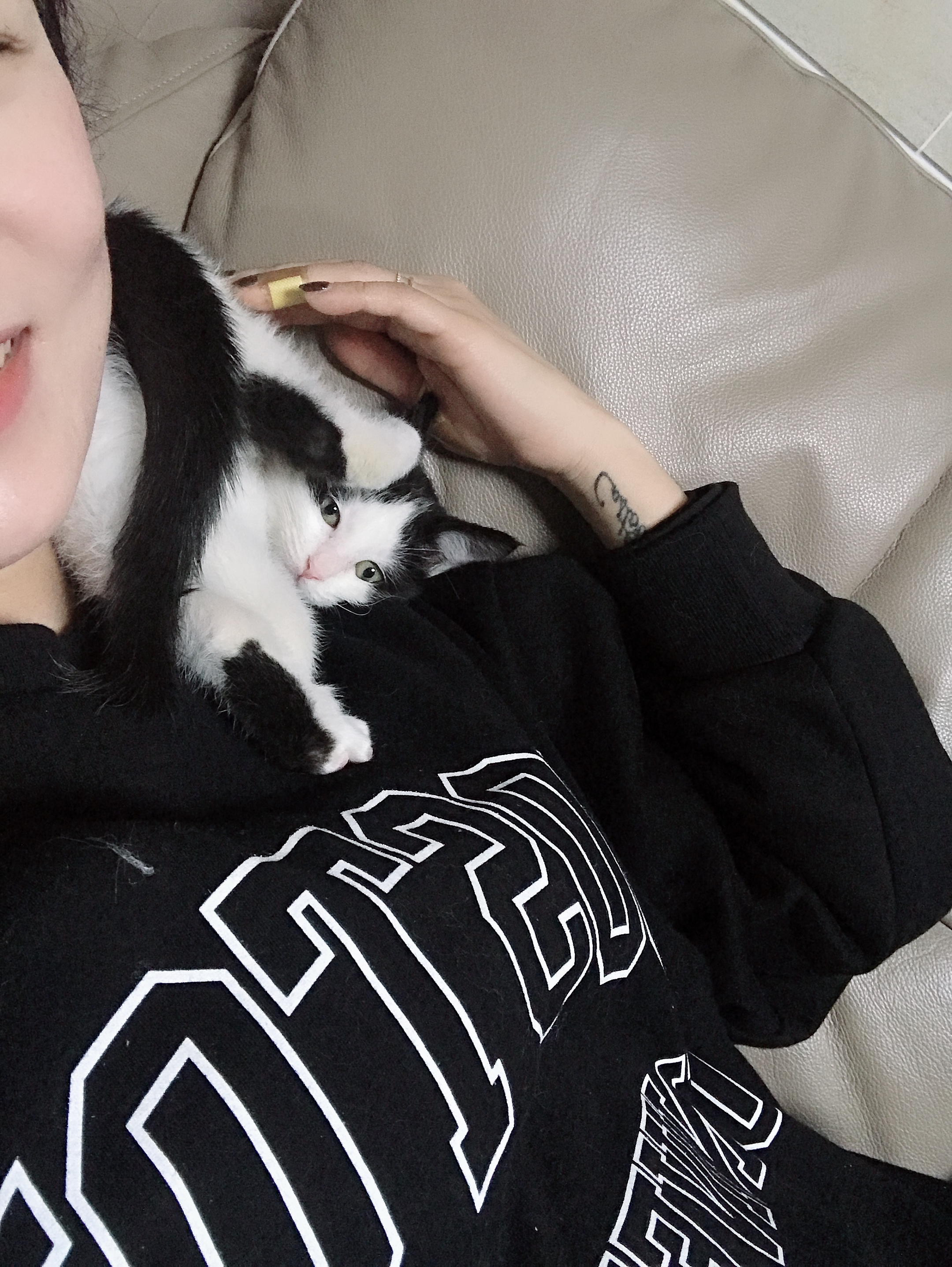 alt 태그
