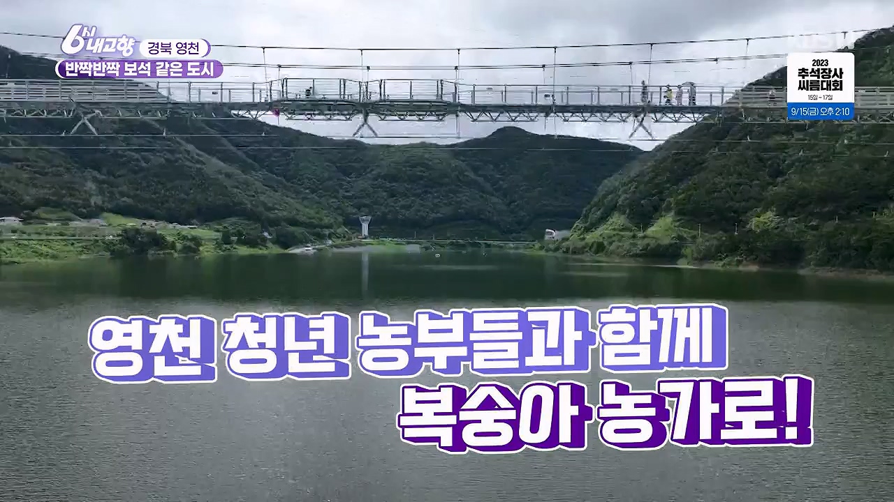 6시 내고향.E7878.230912p-NEXT.mp4_20230918_211126.414.jpg