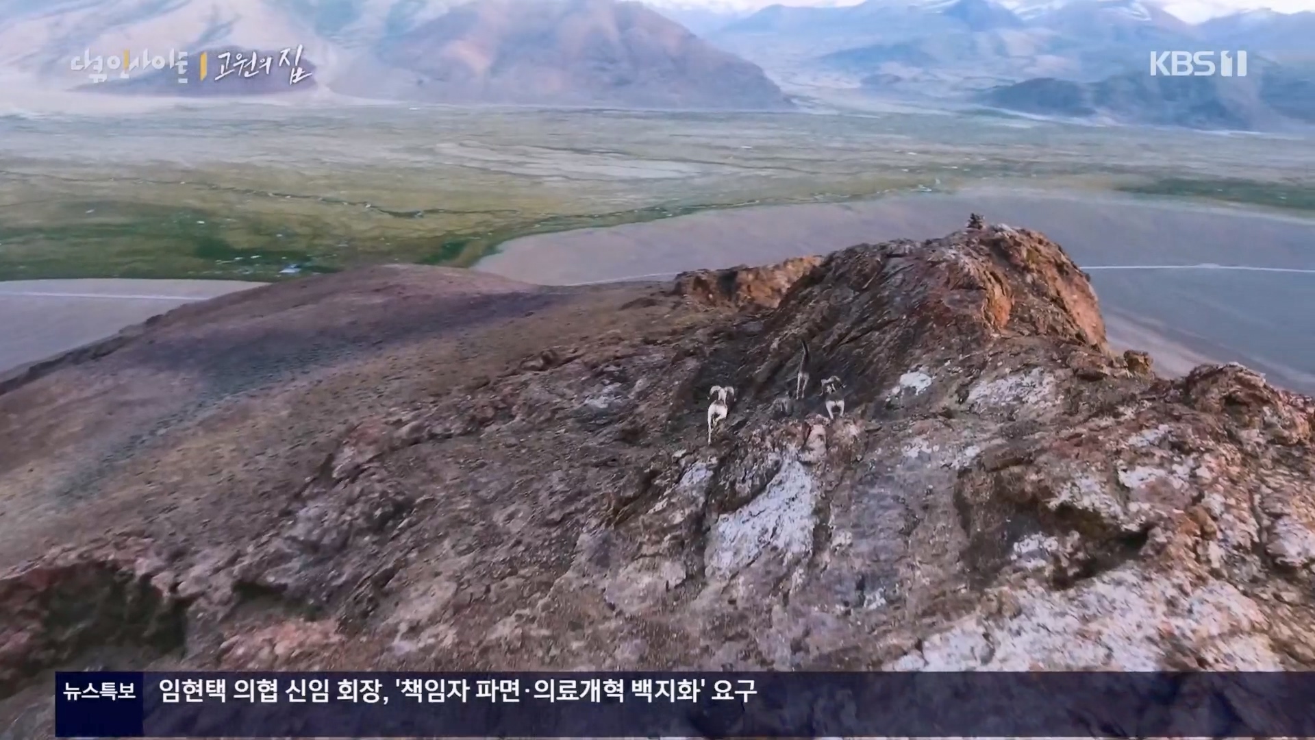 다큐 인사이트.E176.240328p.H264-F1RST.mp4_20240330_162532.526.jpg