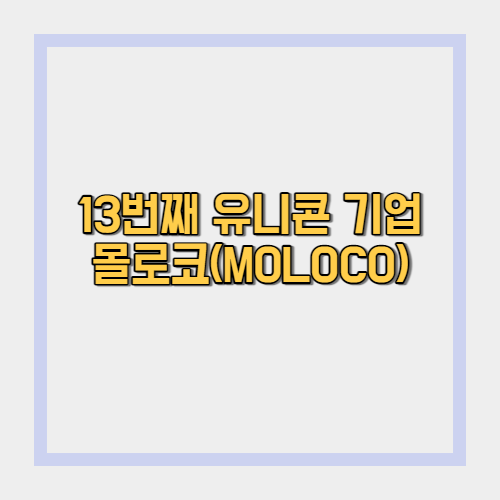  몰로코, 13번째 유니콘 기업 어떤 회사일까?