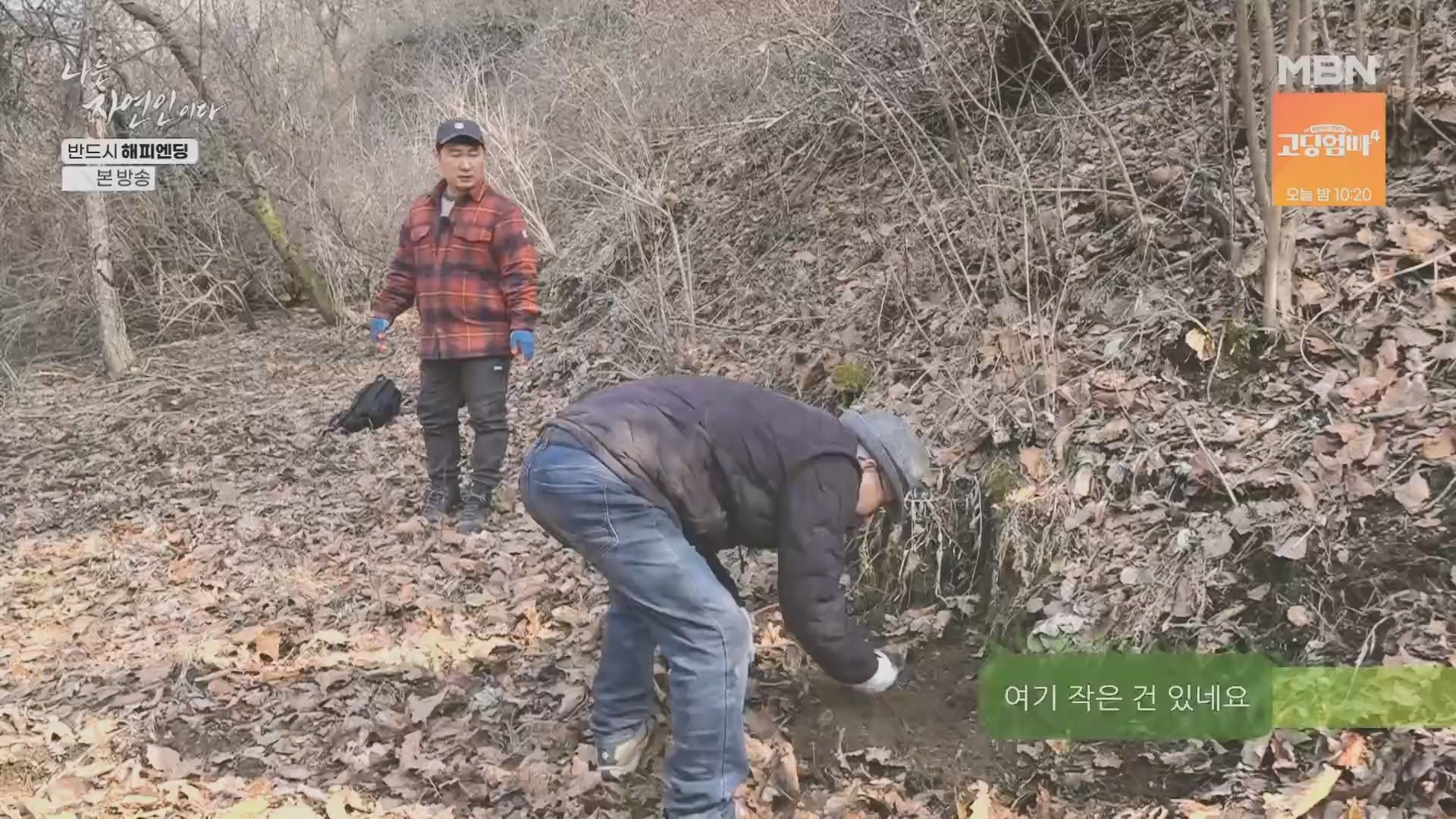 나는 자연인이다.E600.240403p.H264-F1RST.mp4_20240404_191347.910.jpg