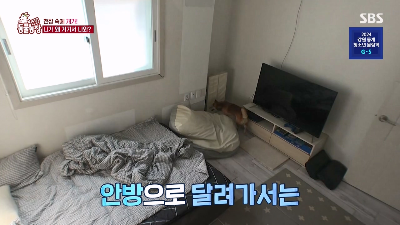 TV 동물농장.E1154.240115p-NEXT.mp4_20240114_184336.054.jpg