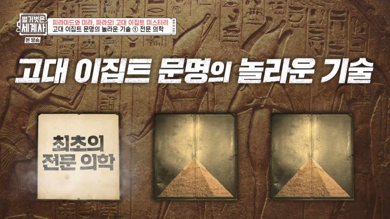 벌거벗은 세계사.E91.230322p-NEXT.mp4_20230422_182020.596.jpg