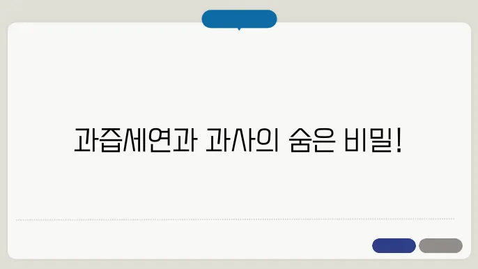 과즙세연 과사 차이점