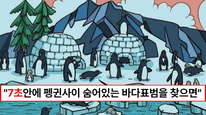 “7초 안에 찾으면 천재입니다” 펭귄 사이에 숨은 바다표범을 찾아보세요