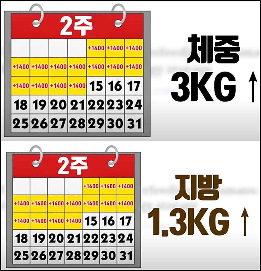  다이어트 도중에 폭식하기