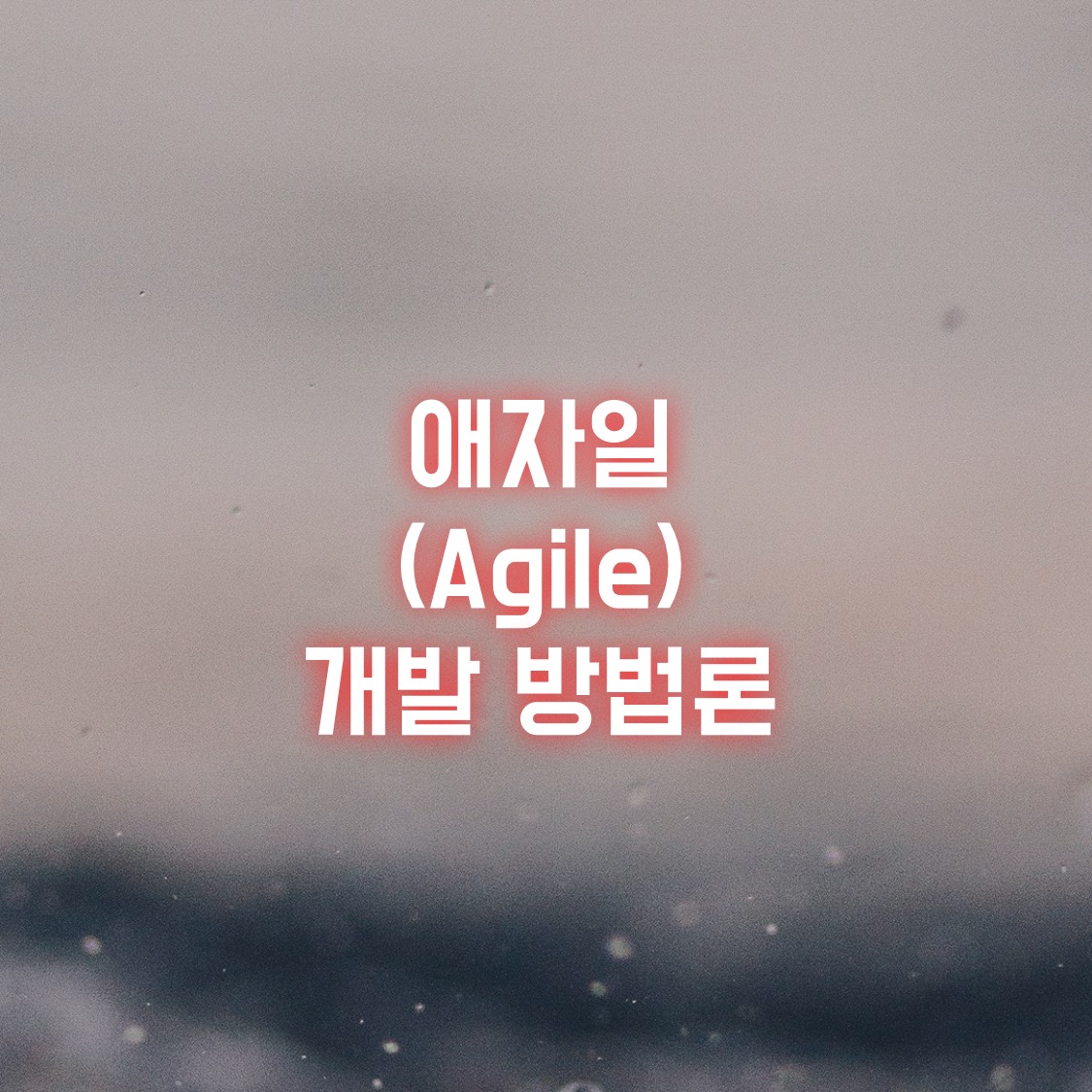  애자일 (Agile) 개발 방법론