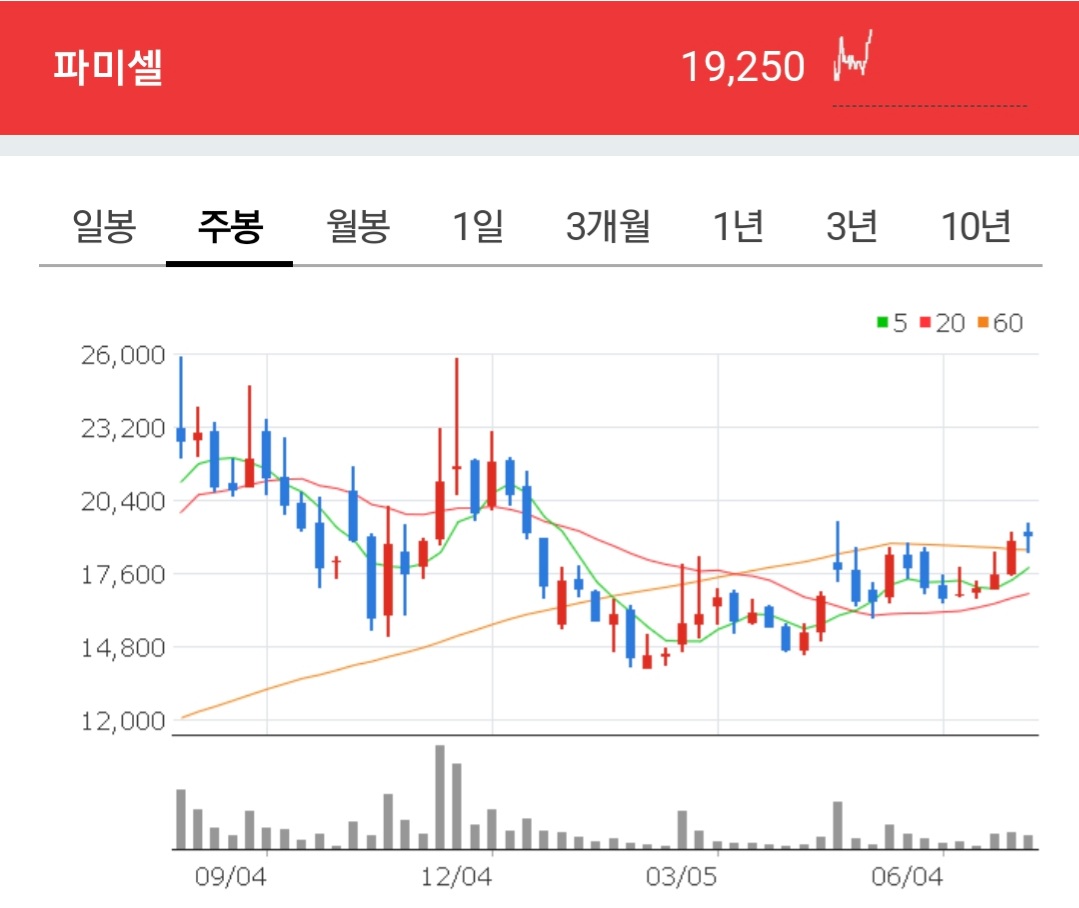 파미셀 주식 주봉차트