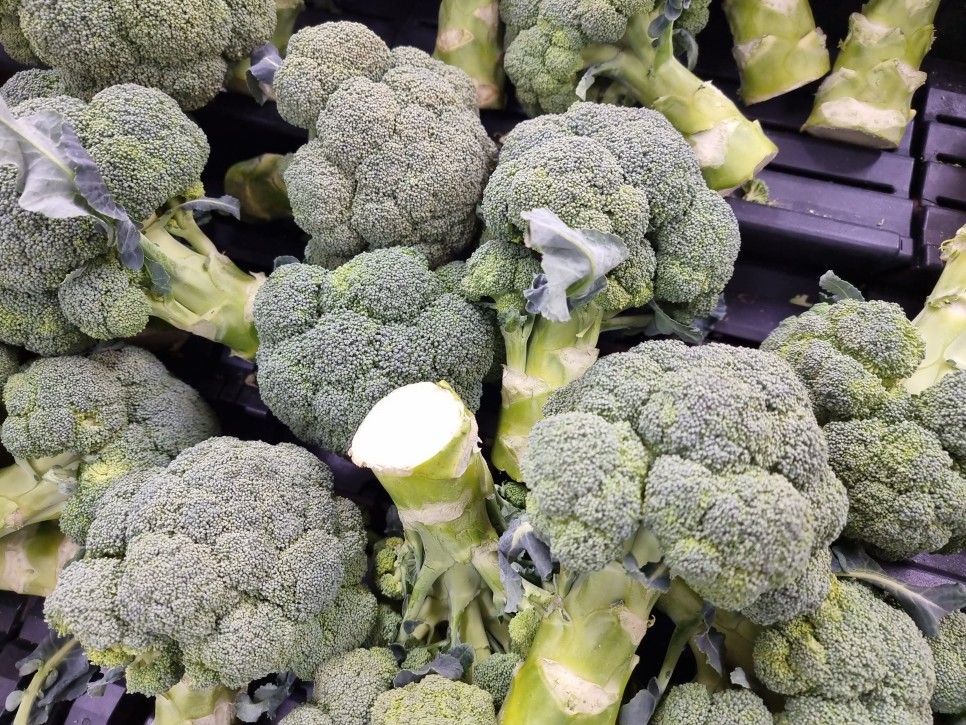 철분 많은 고기 철분이 많은 11