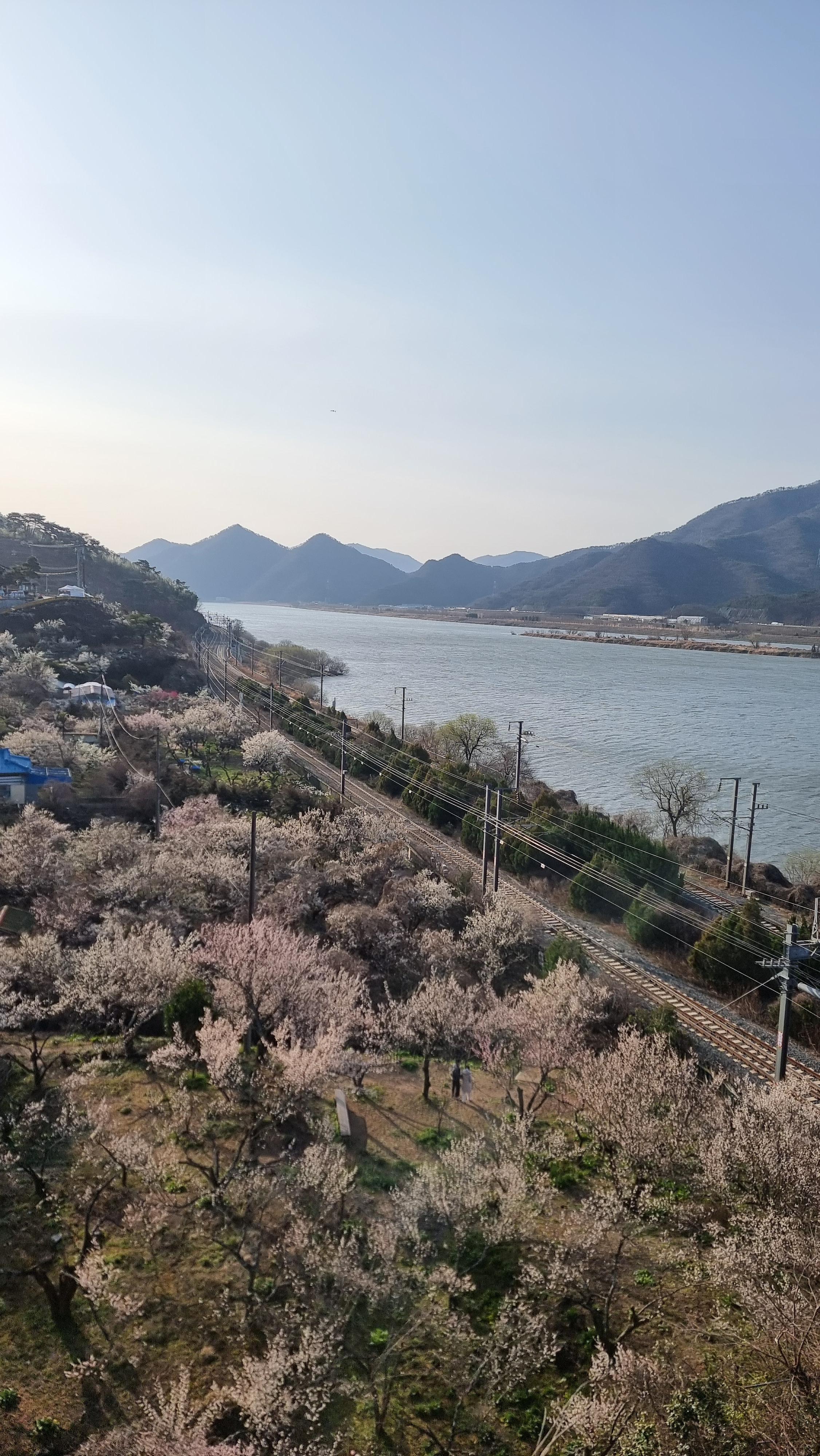 원동 이미지
