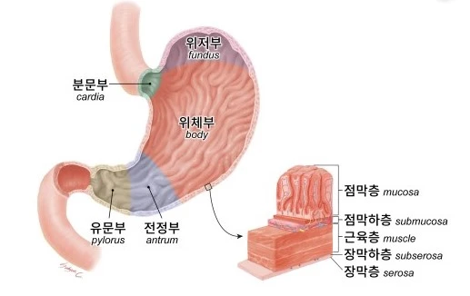 위 구조사진