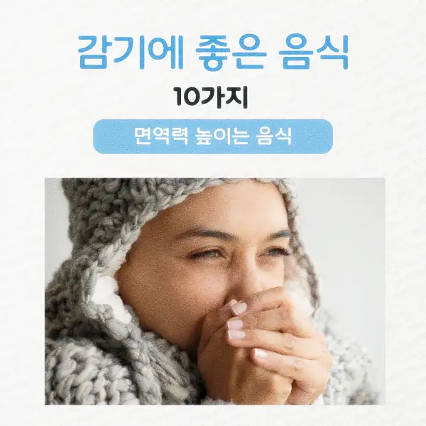 감기에 좋은 음식