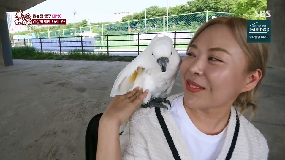 TV 동물농장.E1124.230611p.H264-F1RST.mp4_20230611_173559.649.jpg