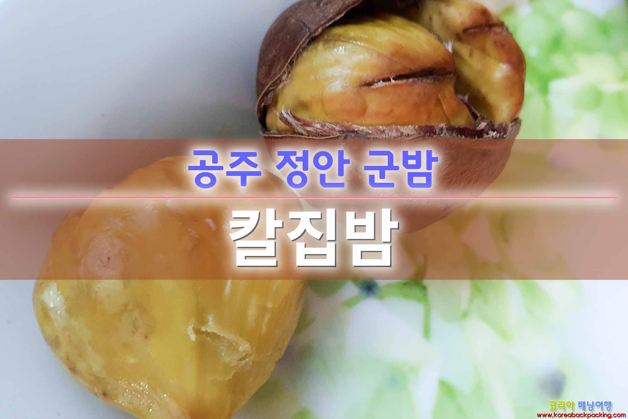 코리아배낭여행 :: 공주 정안 칼집밤 군밤 백종원 맛남의 광장 에어 프라이어 칼집 군밤 코리아배낭여행 :: 공주 정안 칼집밤 군밤 백종원 맛남의 광장 에어 프라이어 칼집 군밤