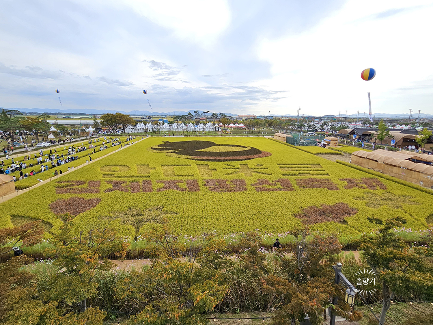 김제 지평선 축제