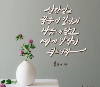 잠언 16장 솔로몬 성경 해석 이해_22