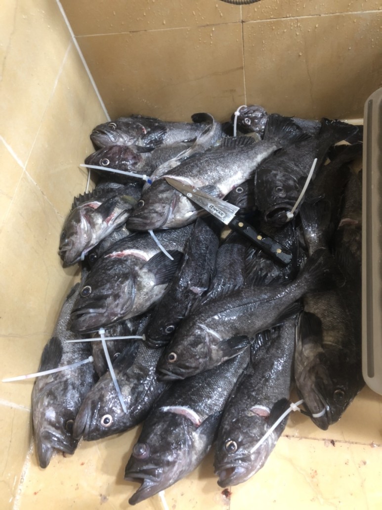 큰게 필요해 ~~~ 8