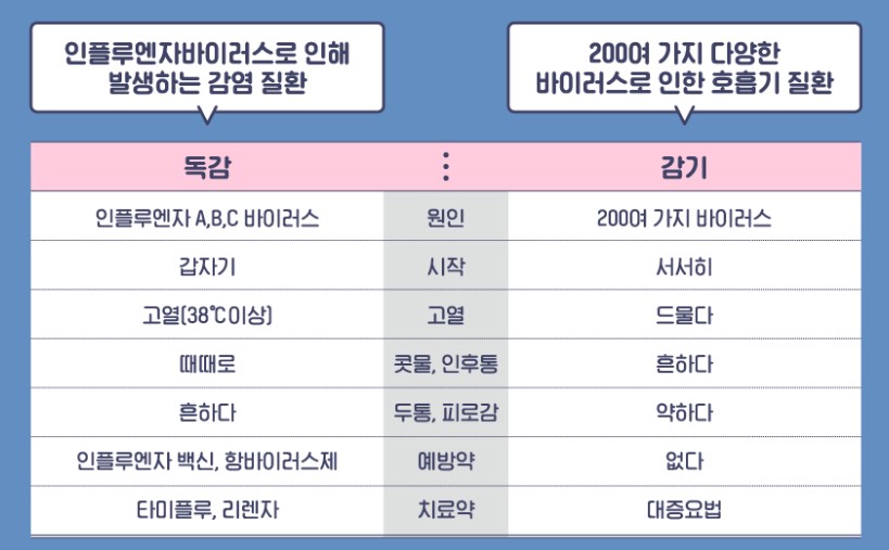 독감예방접종