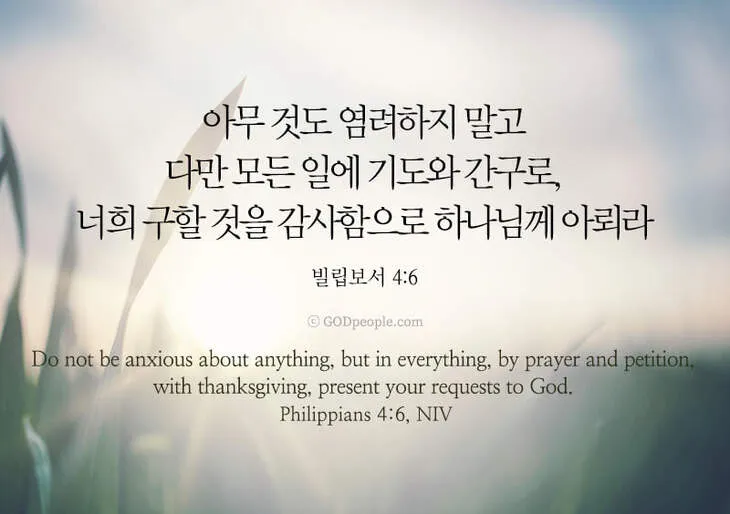 빌립보서 4장 기도 성경 묵상_1