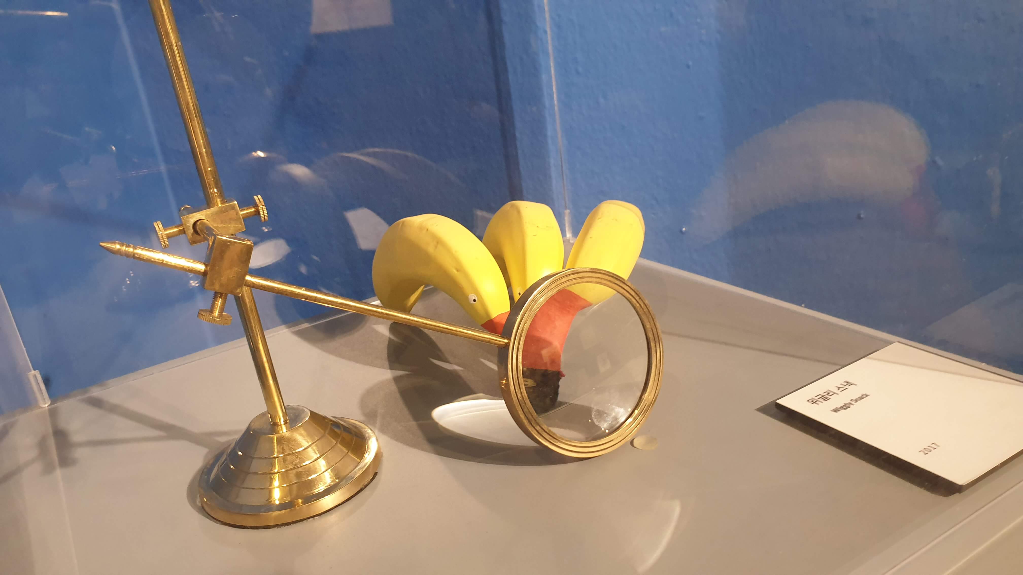 바나나 작품. 위글리 스낵