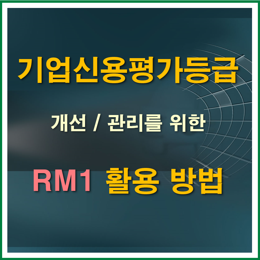  기업신용평가등급 개선관리 RM1 활용하기