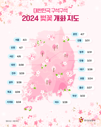 2024 벚꽃 개화시기