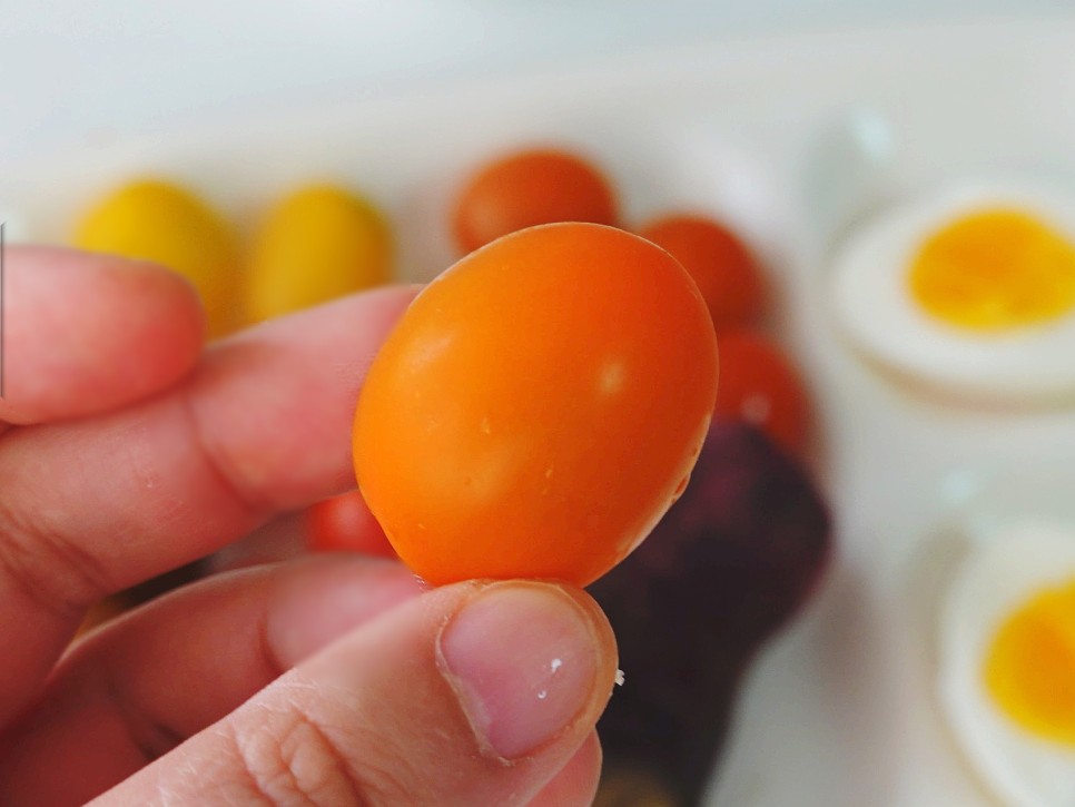 토마토들 산지직송 컬러 4