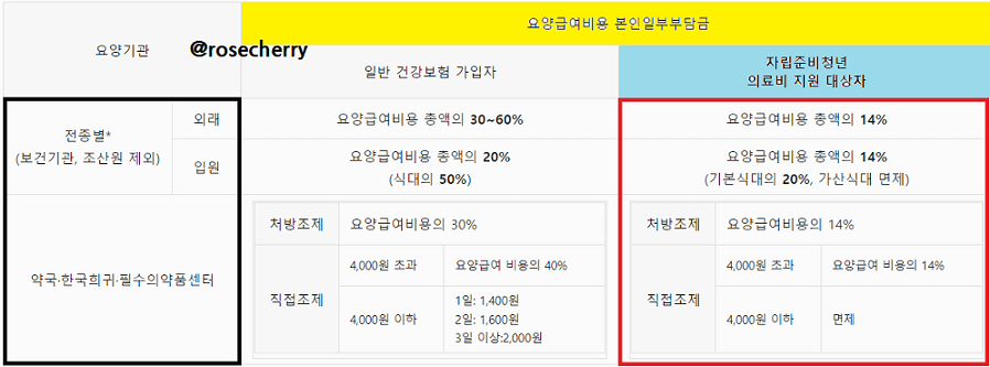 요양급여비용-본인일부부담금-자립준비청년-의료비-지원대상자는-14퍼센트