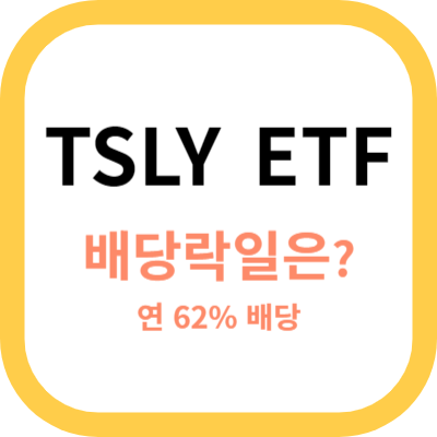 TSLY ETF 사진