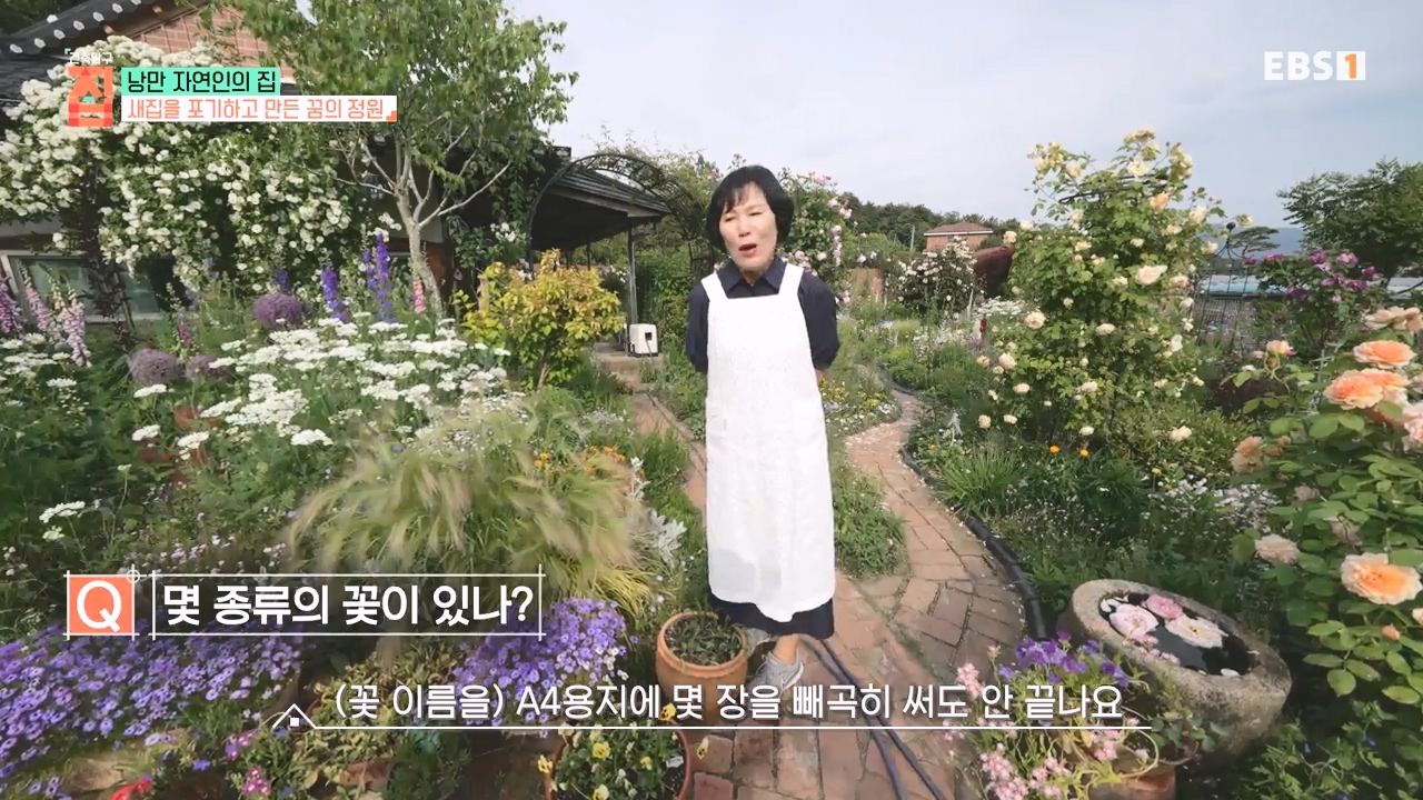 TV - 전 국민의 평생학교 EBS낭만자연인의 집.mp4_20230823_203807.047.jpg