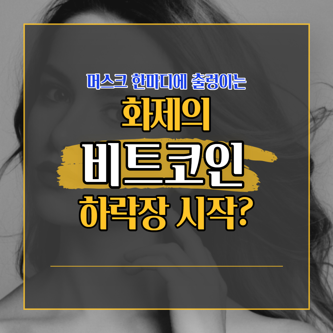 거품이 꺼지기 시작한 비트코인? 머스크 한마디에도 휘청