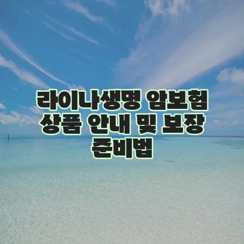 라이나생명 암보험 상품 안내 및 보장 준비법
