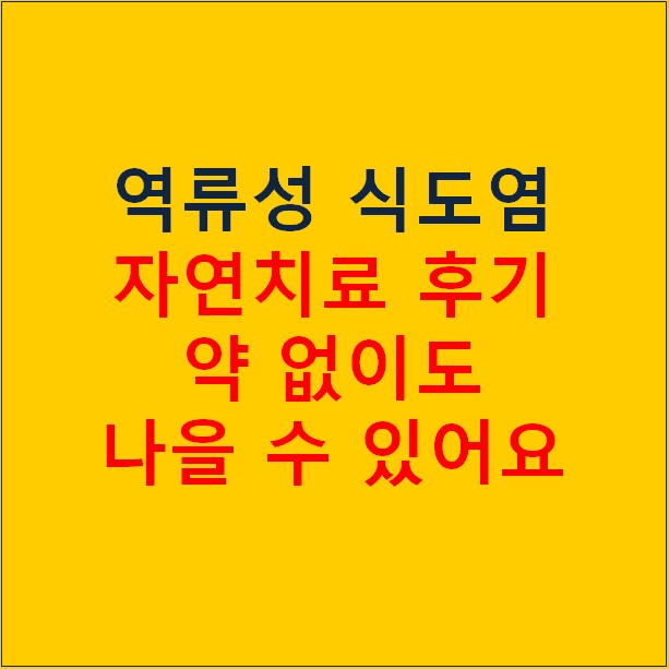 역류성 식도염 자연치료 후기 및 방법 5가지 꼭 보세요! 약 없이도 나을 수 있습니다.