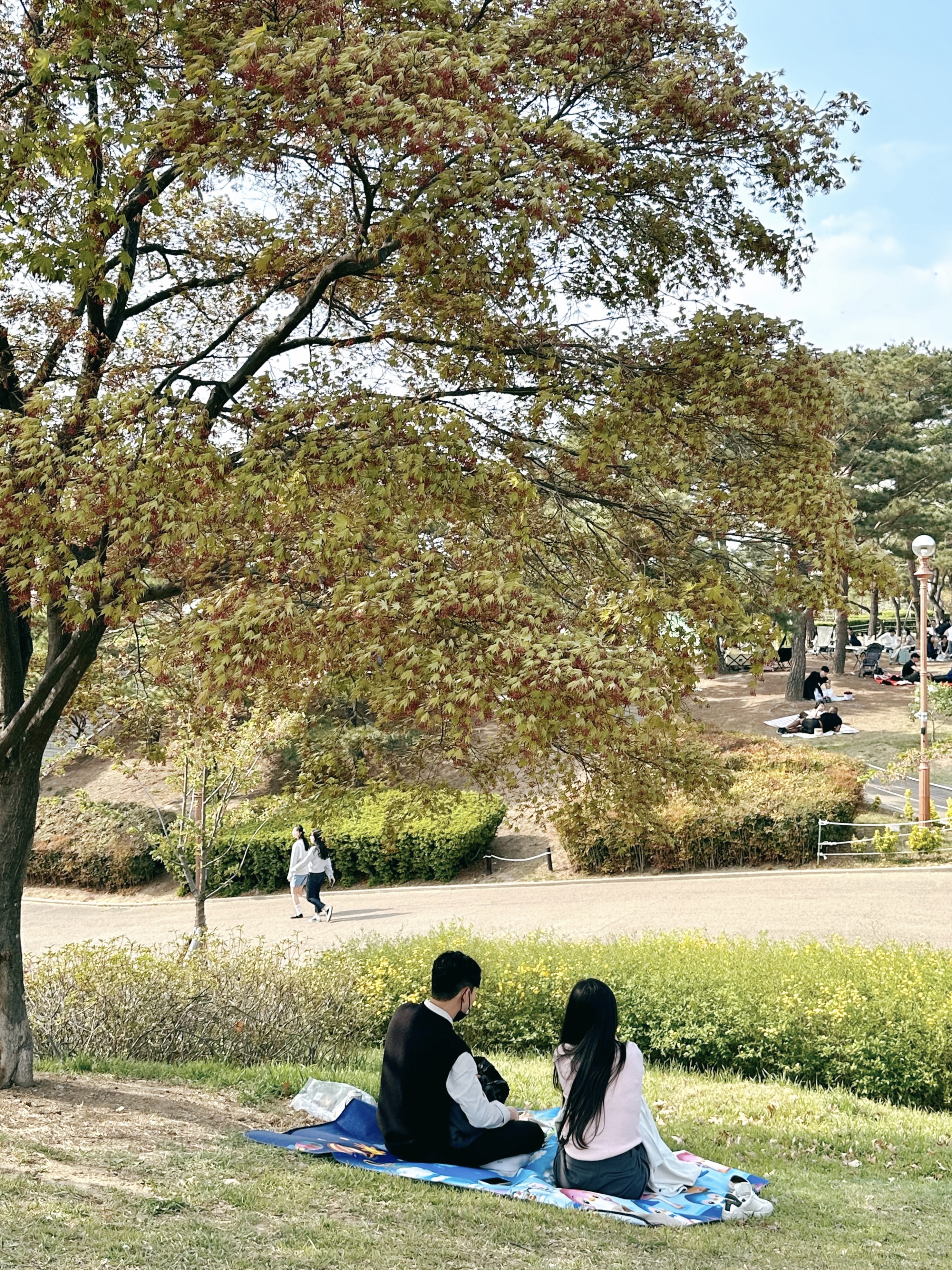 대구-두류공원-피크닉-사진