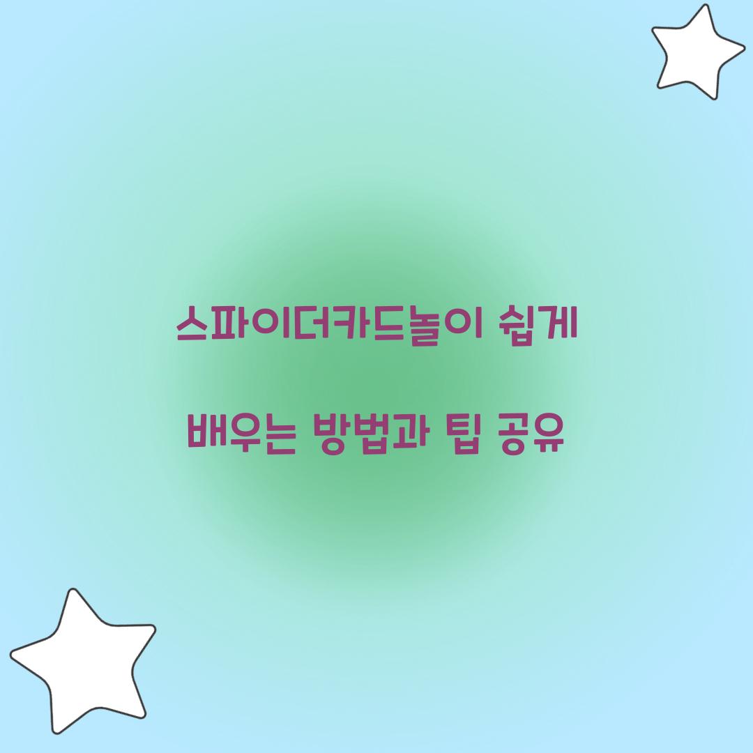 스파이더카드놀이
