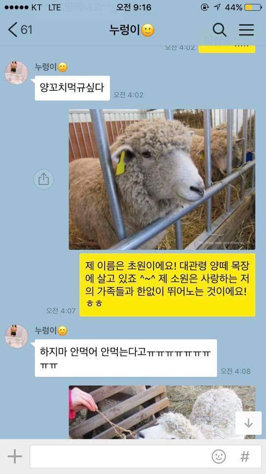 패밀리양꼬치 이미지