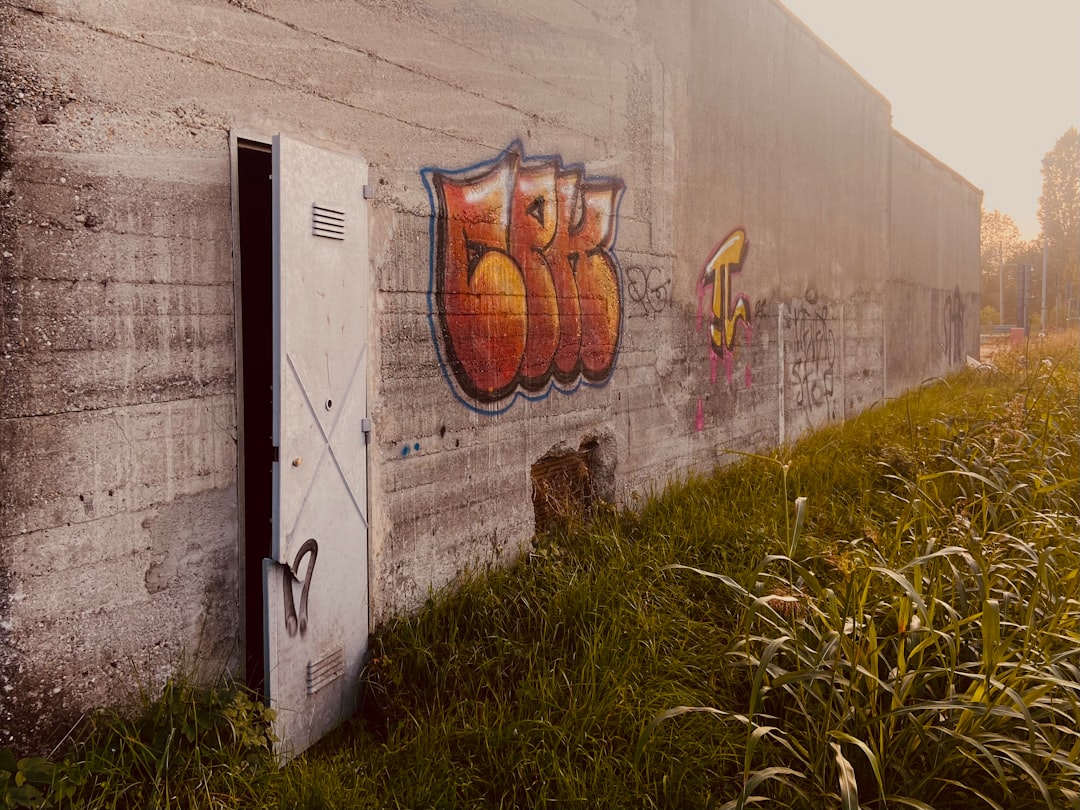 Reset