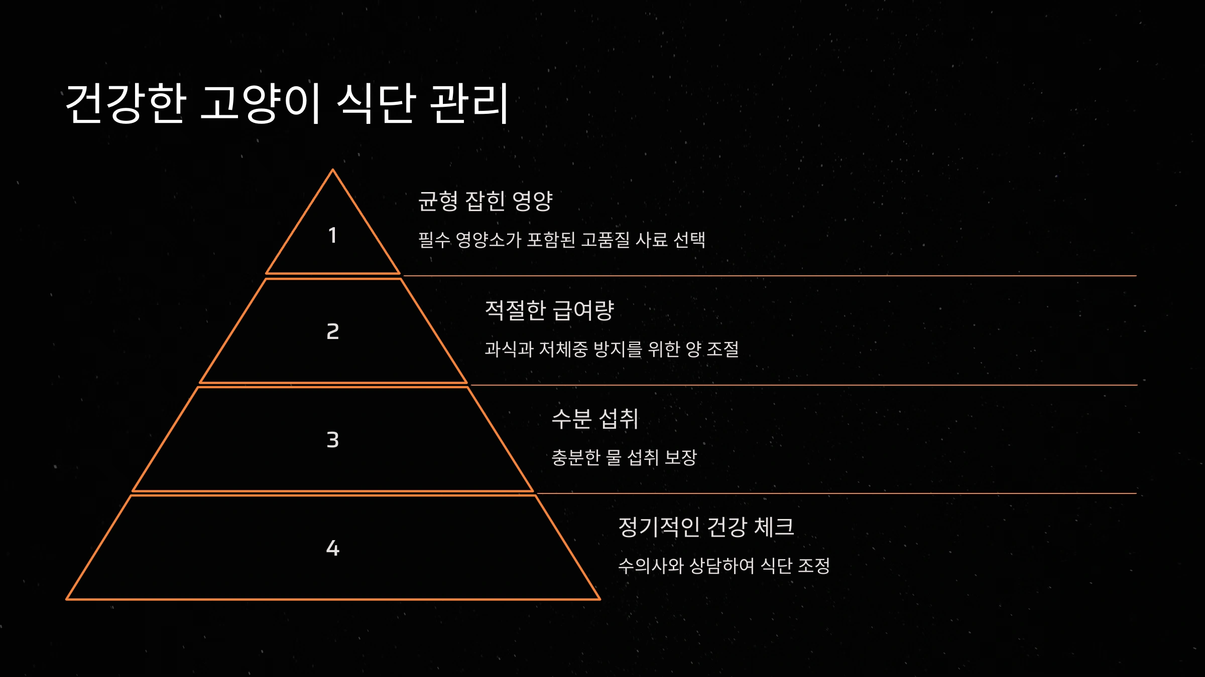 추천 고양이 사료 브랜드