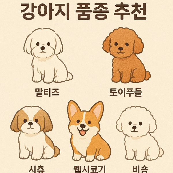 초보자를 위한 강아지 품종 추천