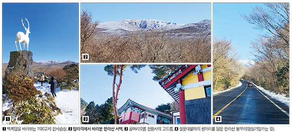 두메 이미지