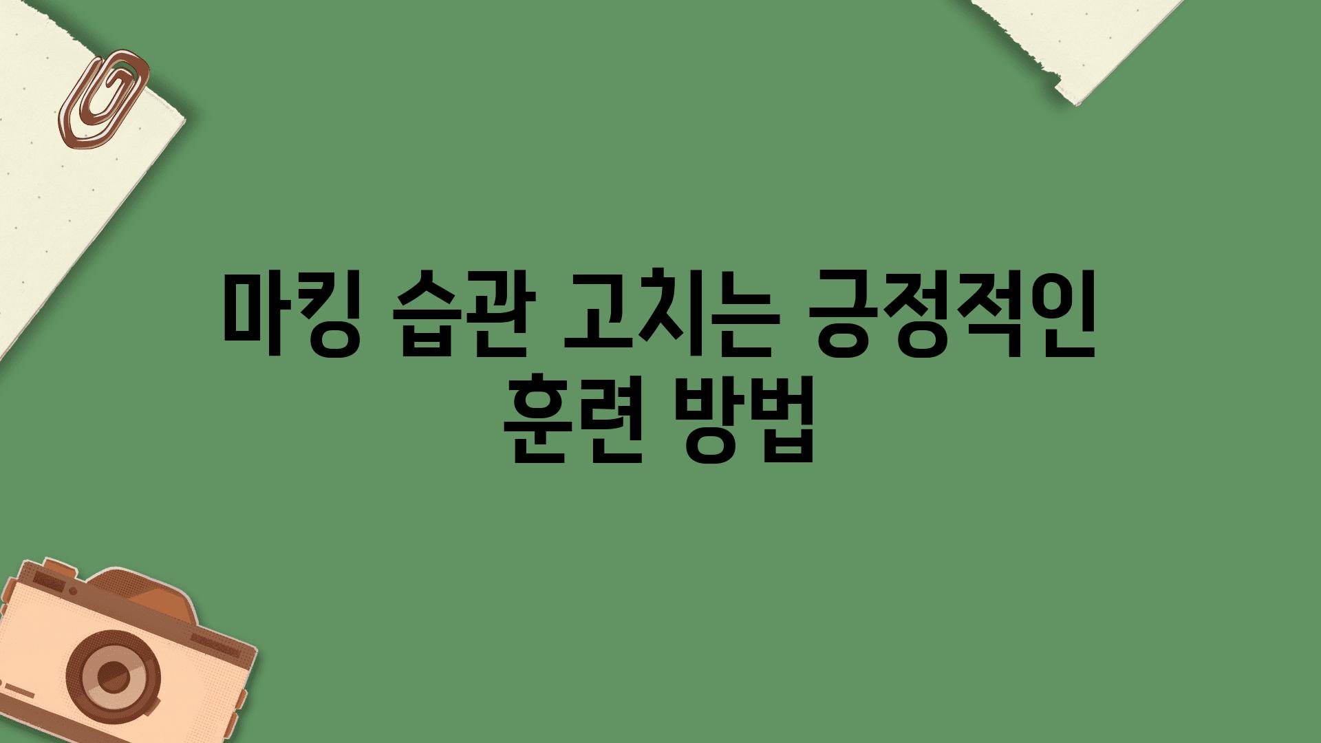 마킹 습관 고치는 긍정적인 훈련 방법